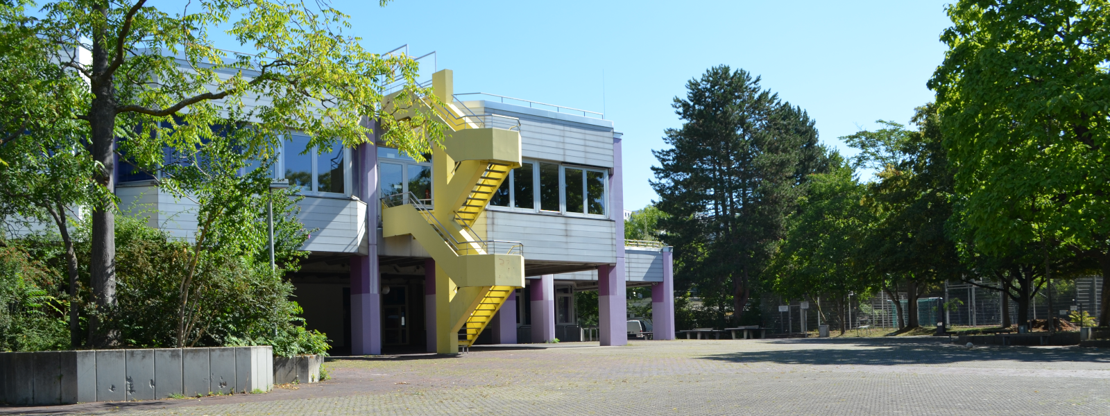 pic-4
